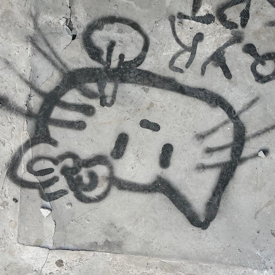 野象
