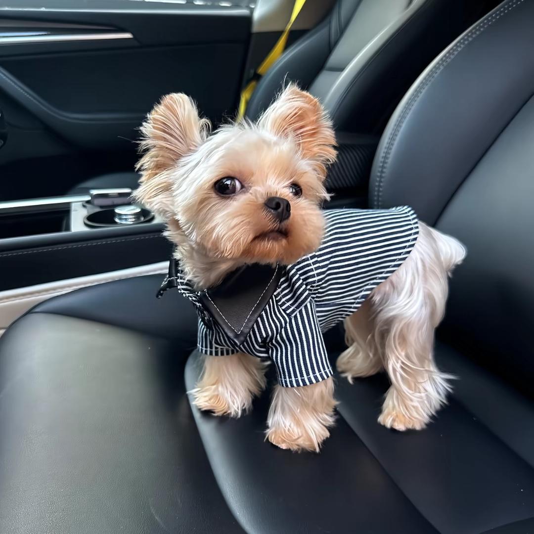 🐰🐰钮發财🐰🐰