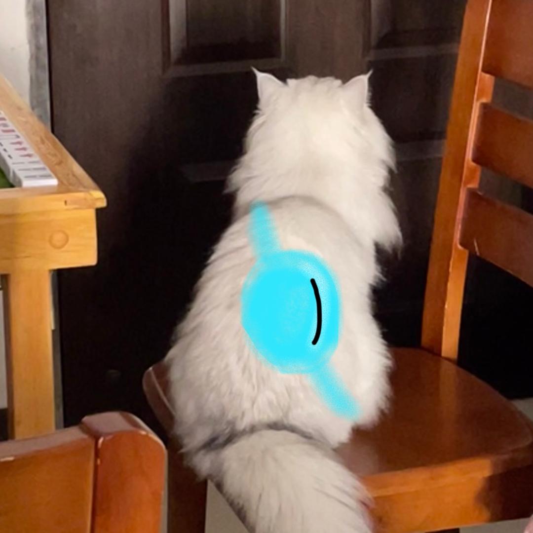 卤鸡腿不要熬夜