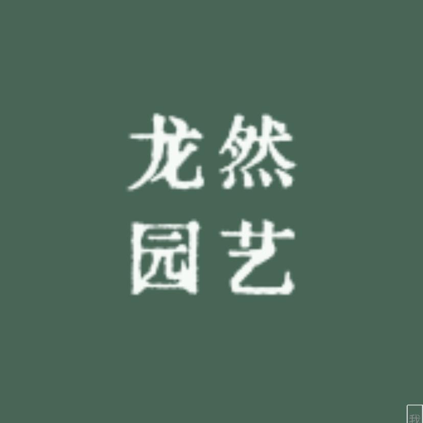 龙然园艺工具