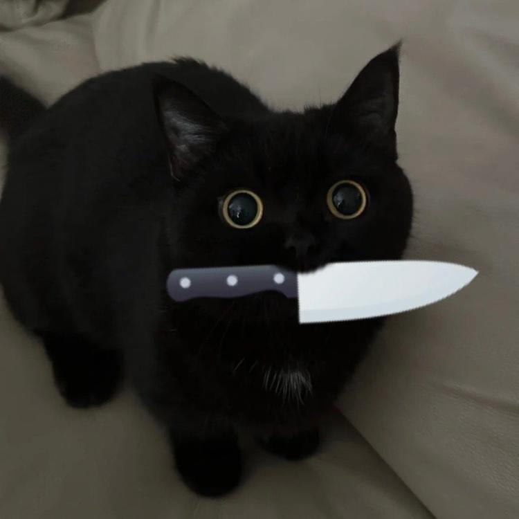 猪丢了