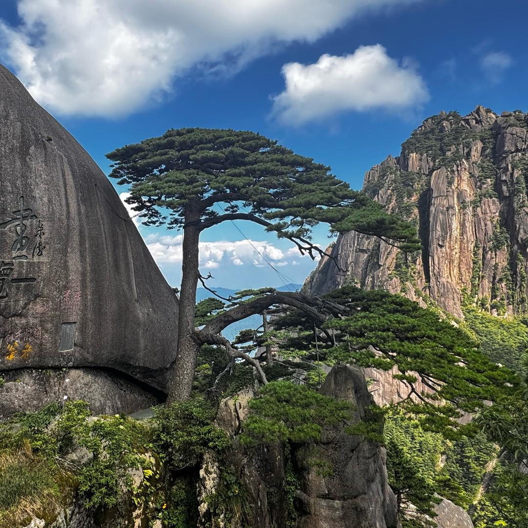 坐看云起时⁸⁷⁹⁷