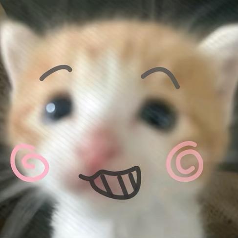 撑伞ouo