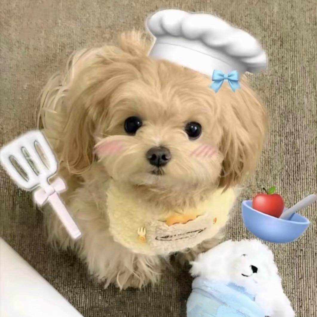 鸡翅脑袋