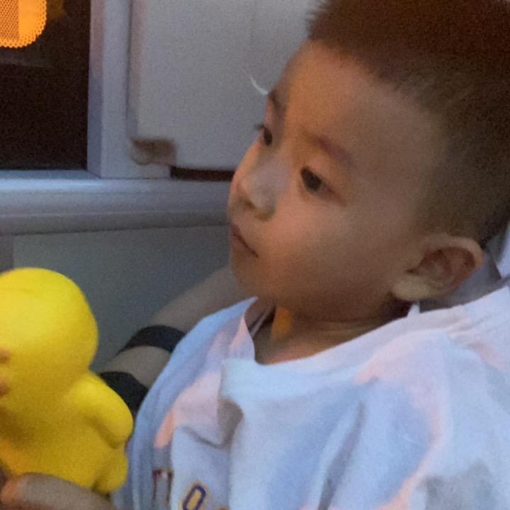 汪宝贝
