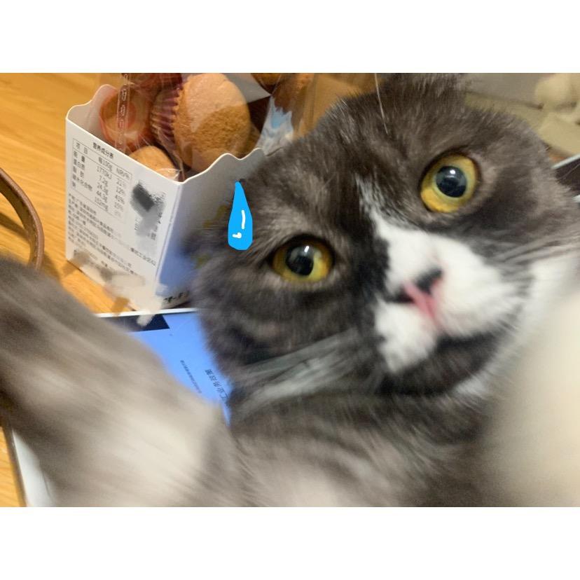 也不是很甜