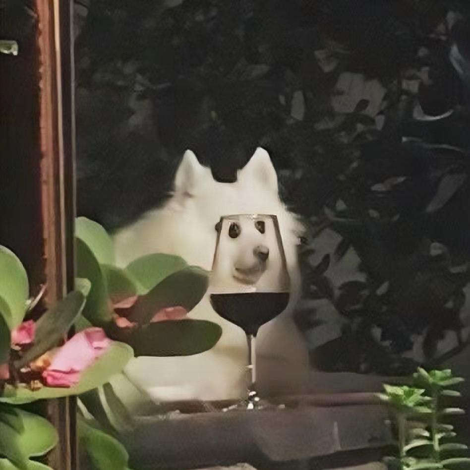 花开富贵战地狼