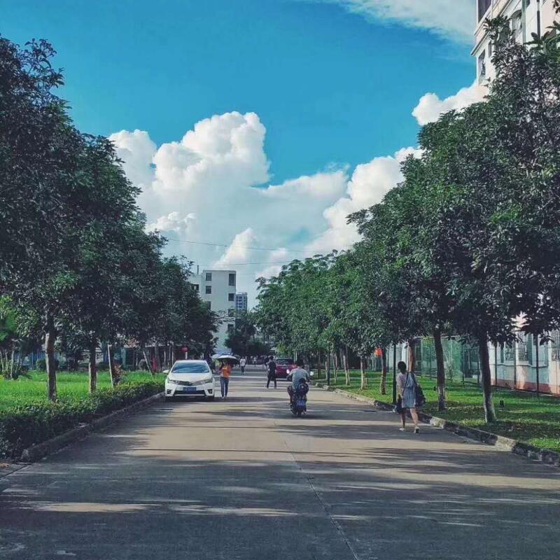 无问西东