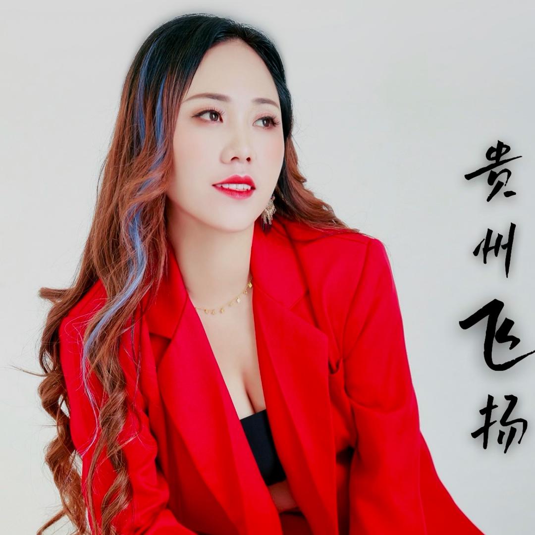贵州飞扬（608）