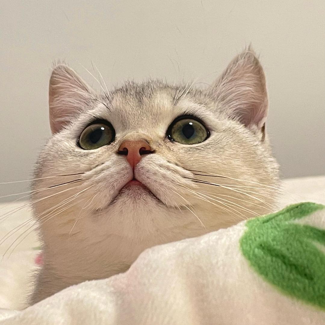奶糖