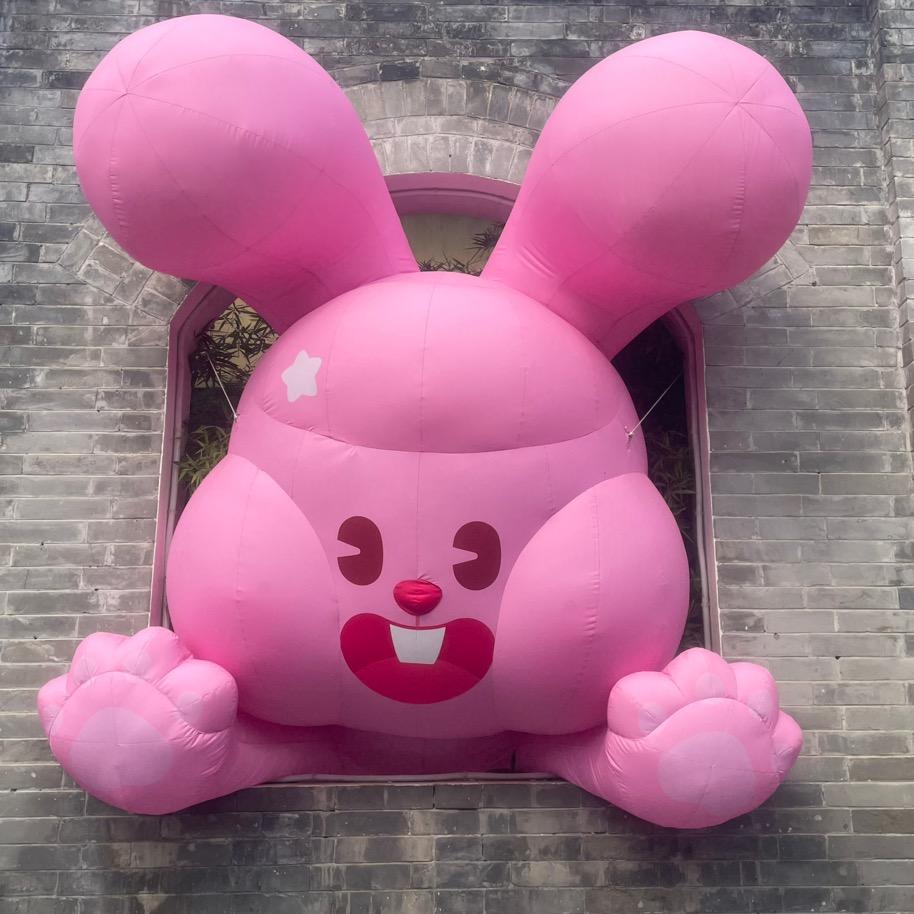 路亿十三