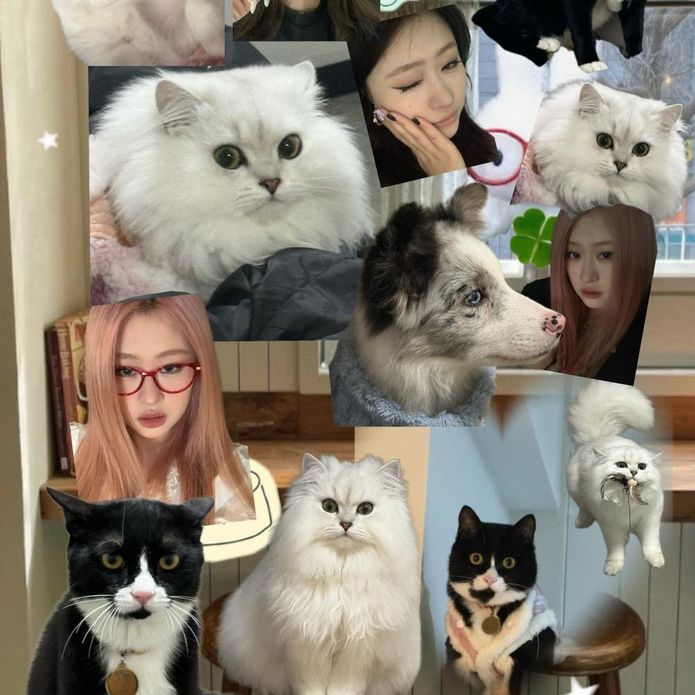 ꒰ᐢ.  ̫.ᐢ꒱ฅ ♱