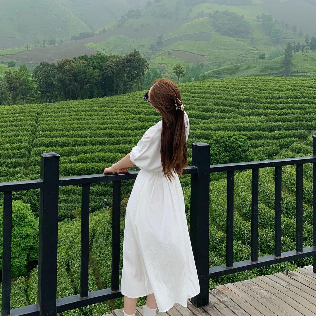 青茶