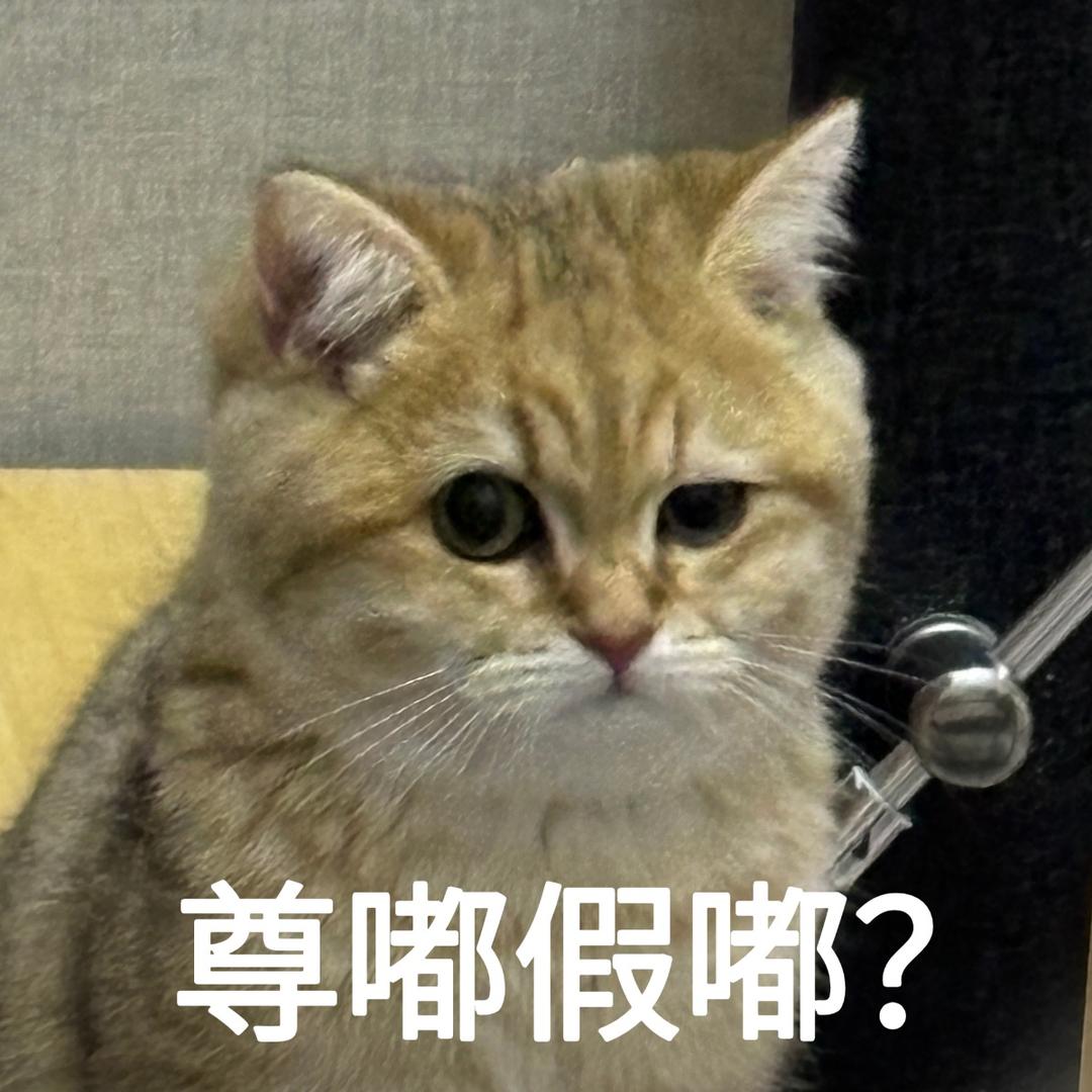 三好学生刘同学头像