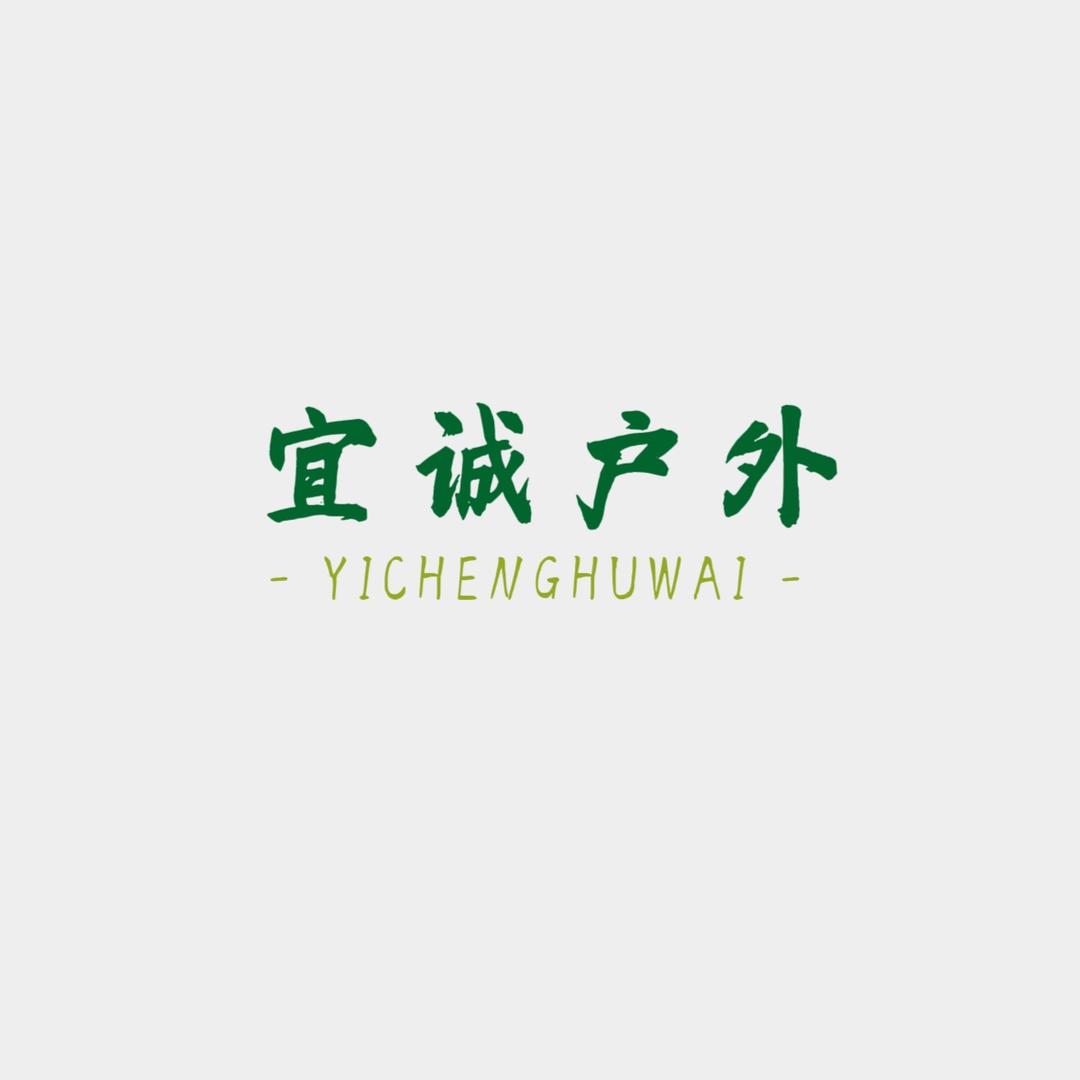 户外宜诚自烤