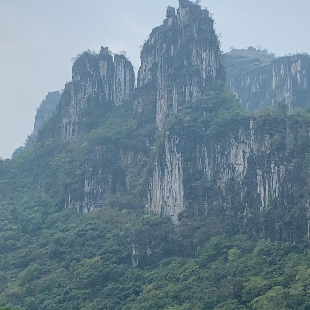 岭南老六土特产