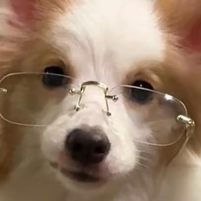 扣🐾
