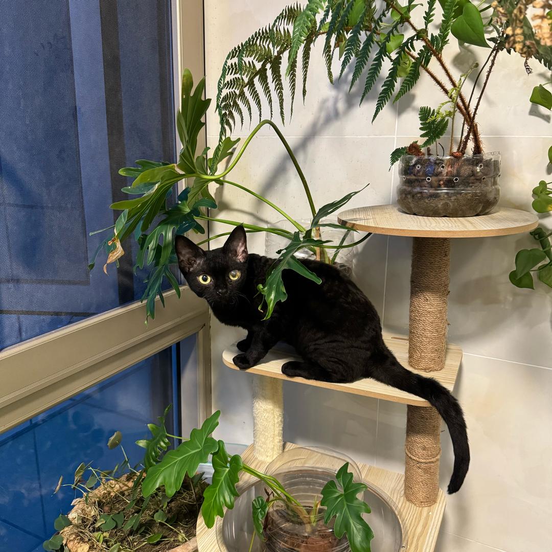 🌈我想瘦一点🌈