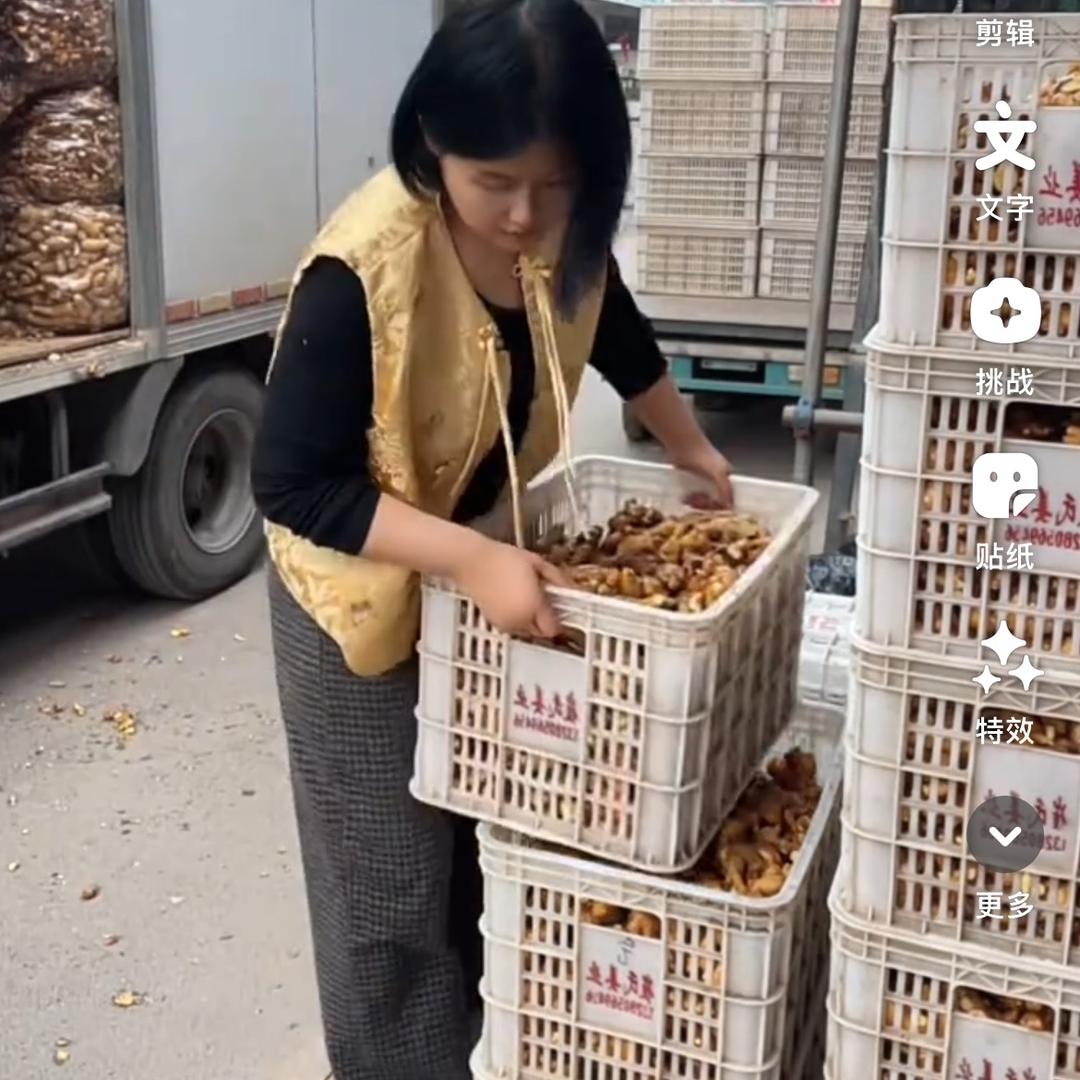 来福妈