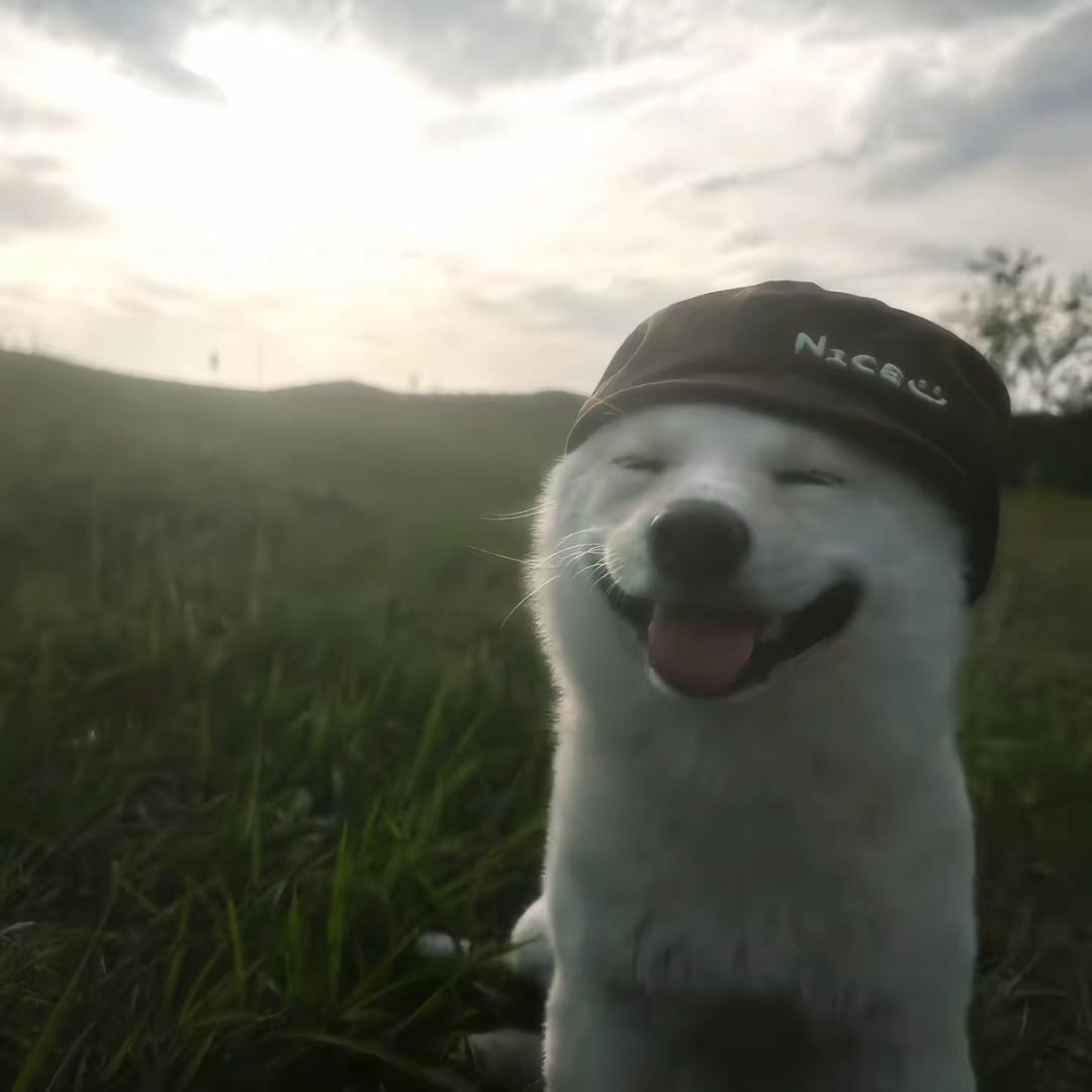 IIII