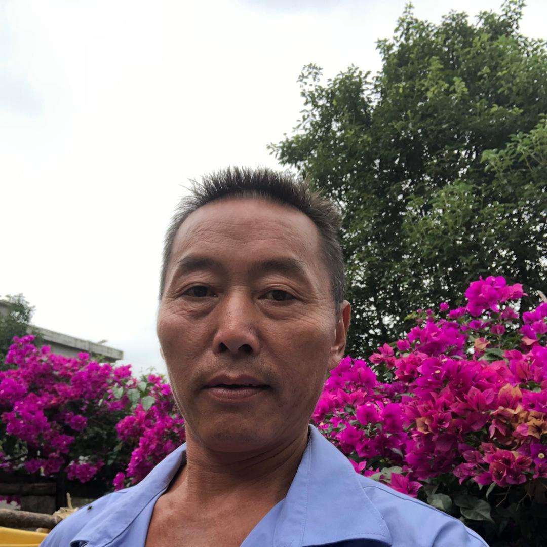 毕节织金凹河万亩花海张哥