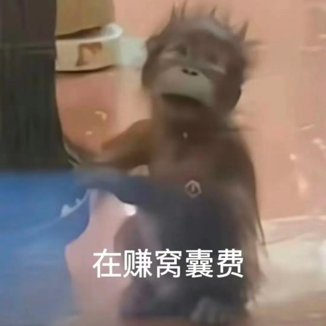 宝建散货玩具（王副总）