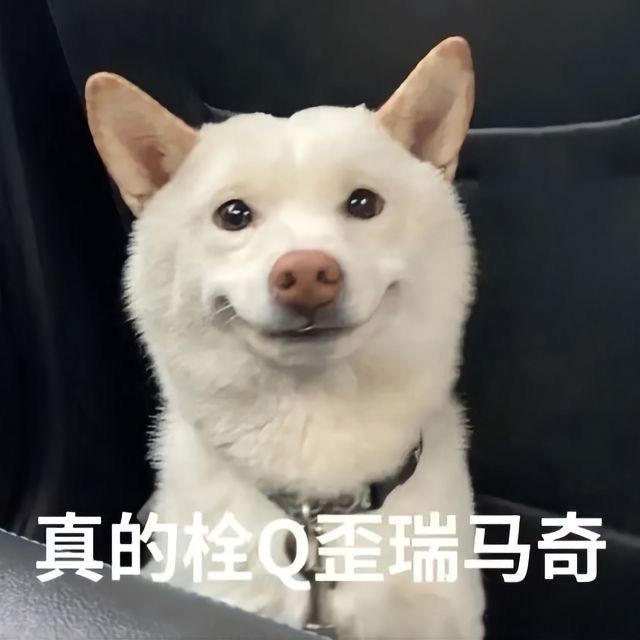 爱吃瘦肉周