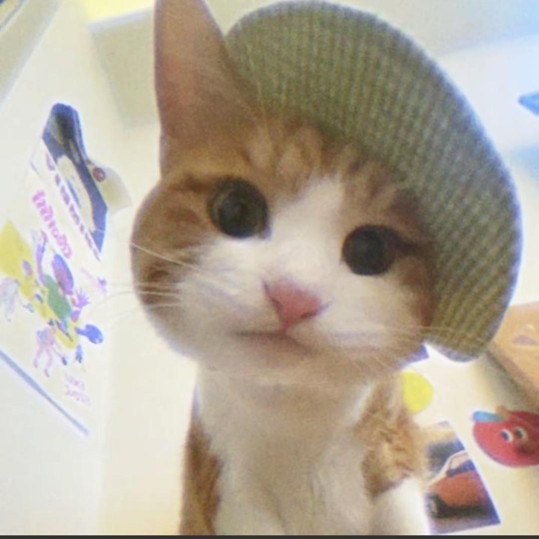 土豆搓澡土豆泥🥔