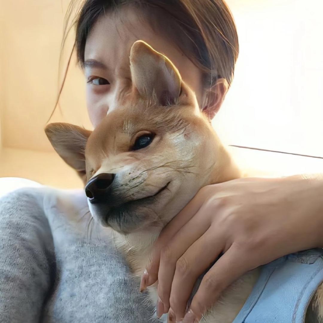 你的嘻嘻🧚‍♀️