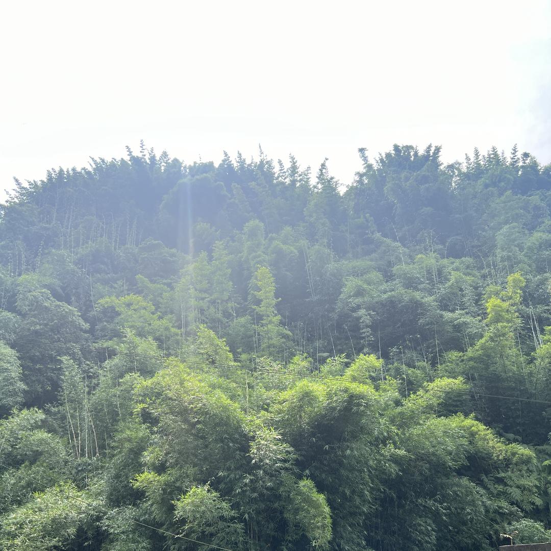 泸州成实酒业有限公司企业店