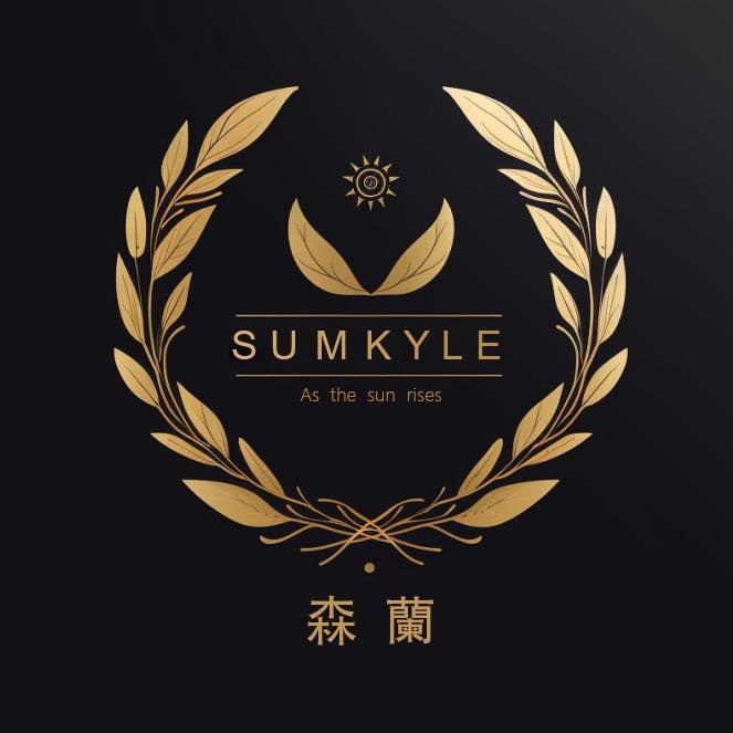 sumkyle宿州硕傲鸿嘉电子科技有限公司男士理容专卖店