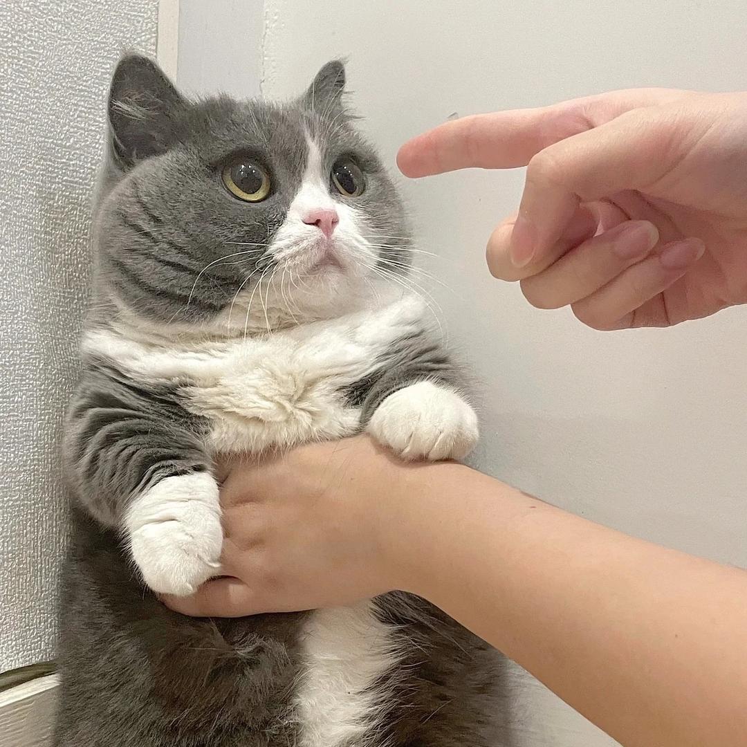 是否定