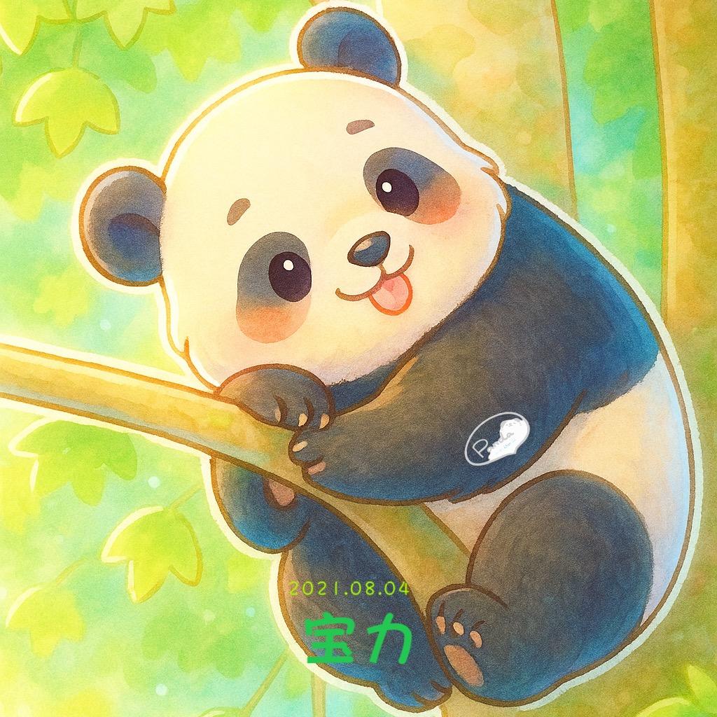 小雨&Bao Li
