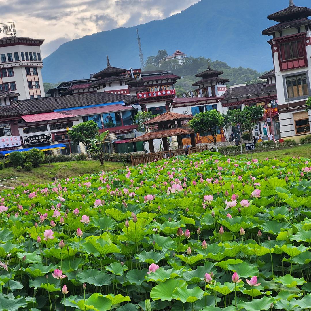 只刷小❤️❤️