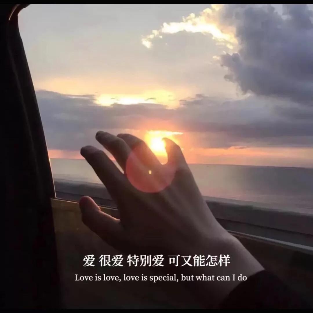 萧十一郎
