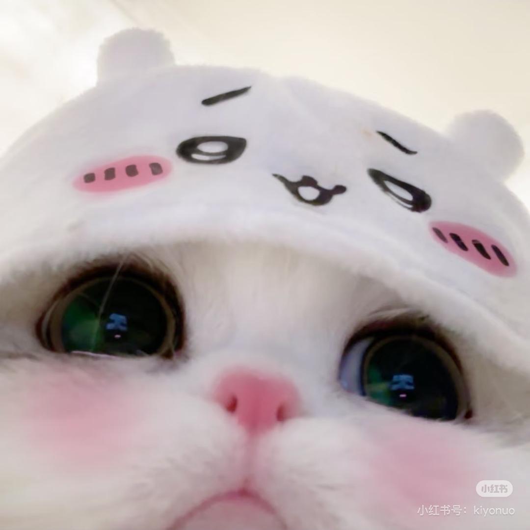 星小晴