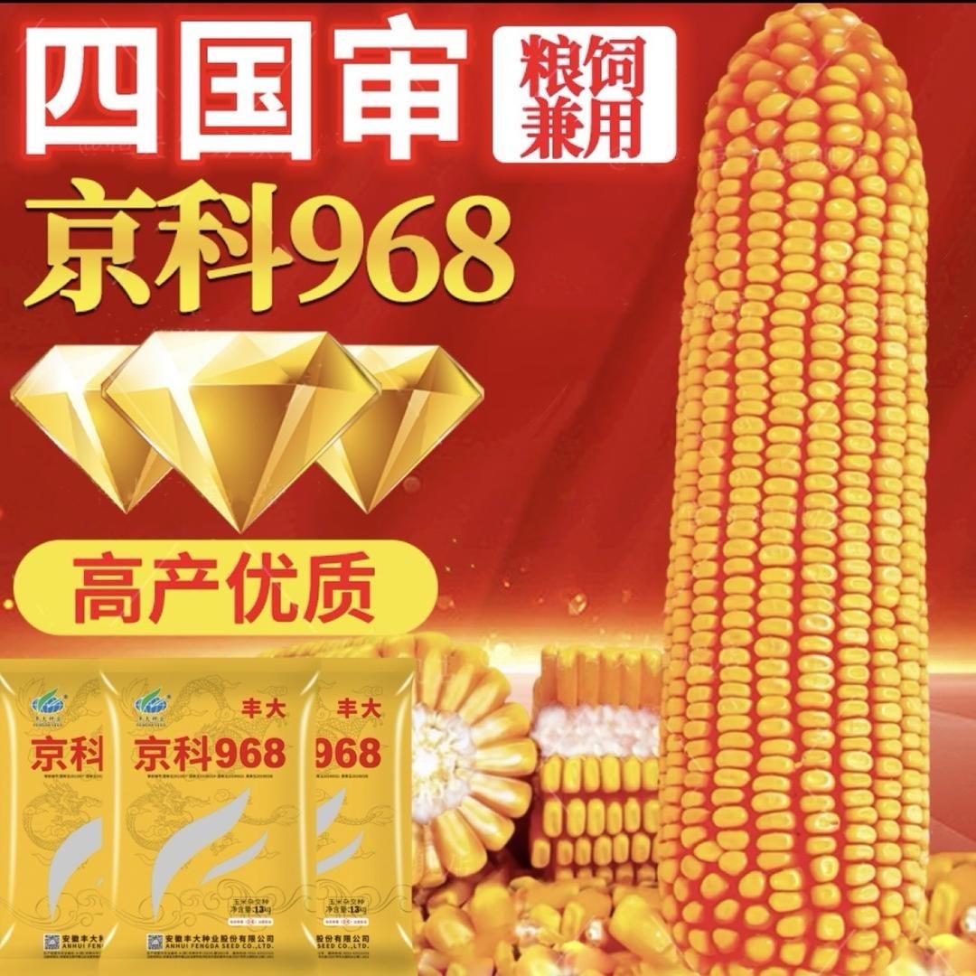 丰大发财棒