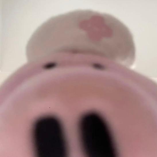 小肥猪
