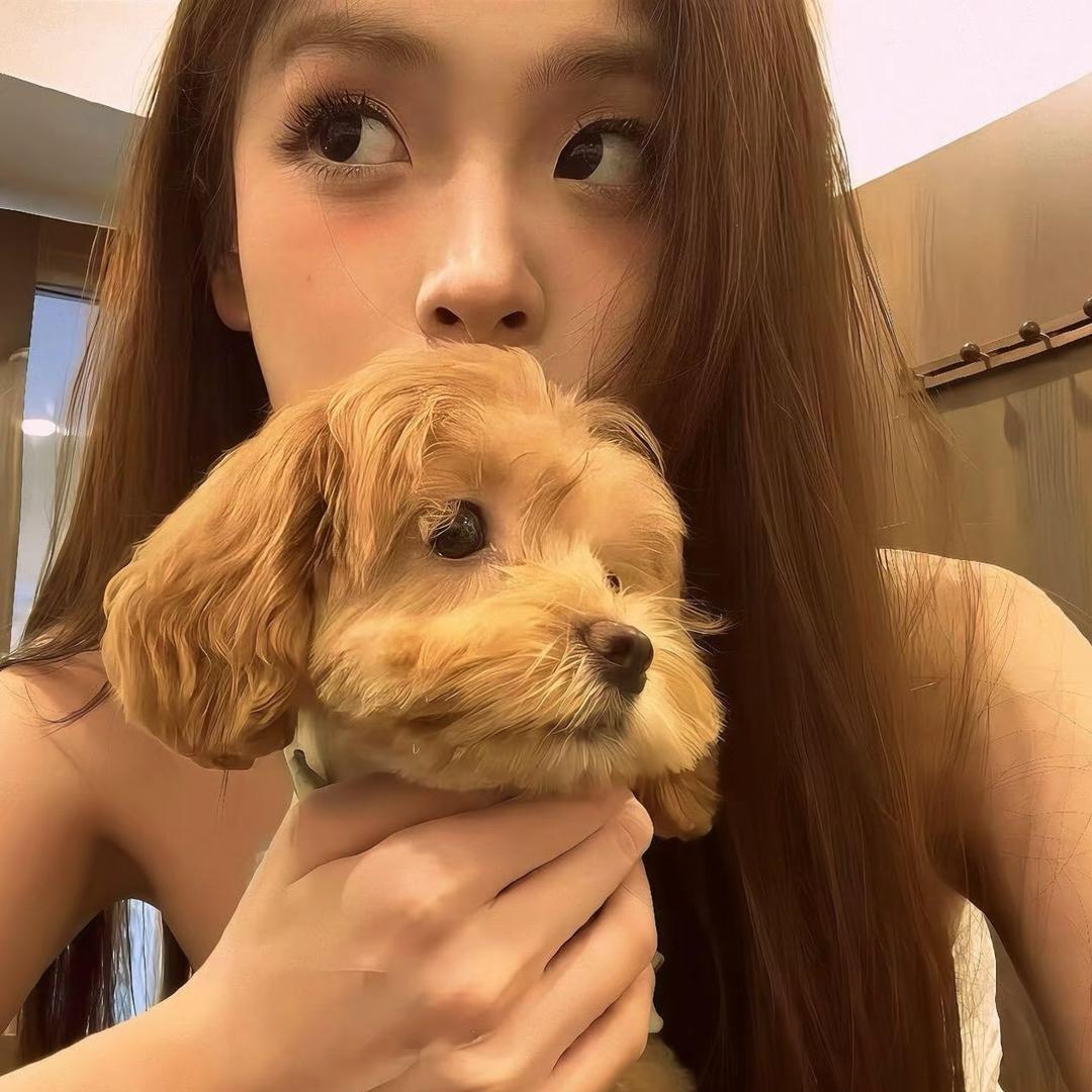 柿柿如意