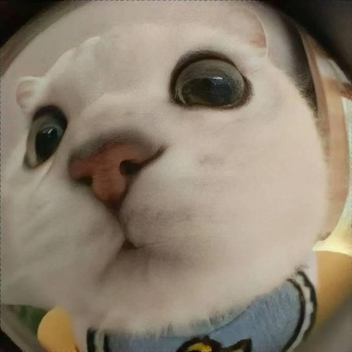 椰子粥