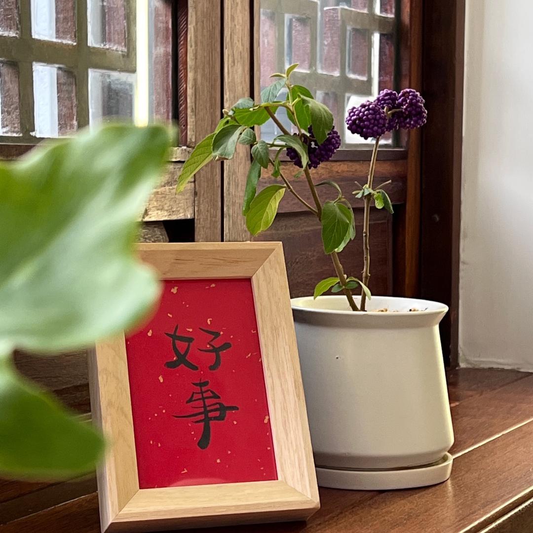 小苏钱来