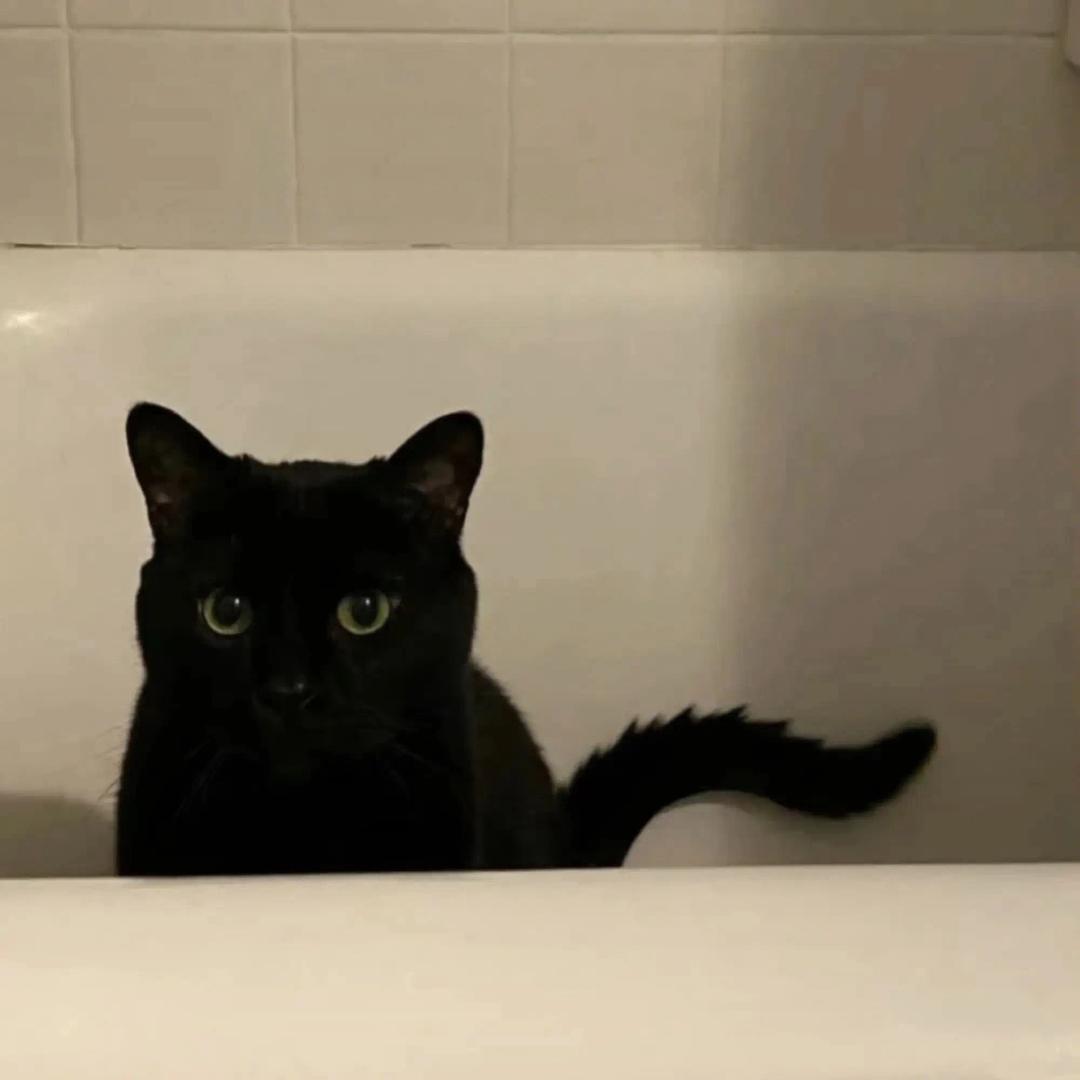 ᅟᅟᅟᅟᅟᅟᅟᅟ