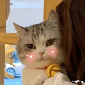 w小丸子w