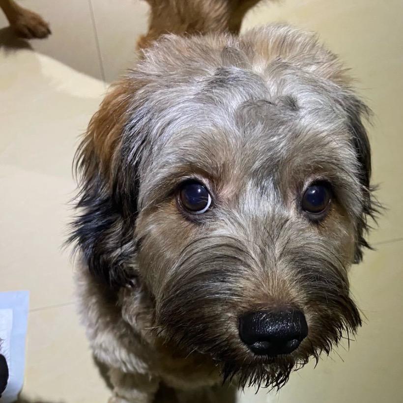 鹿森里好物推荐