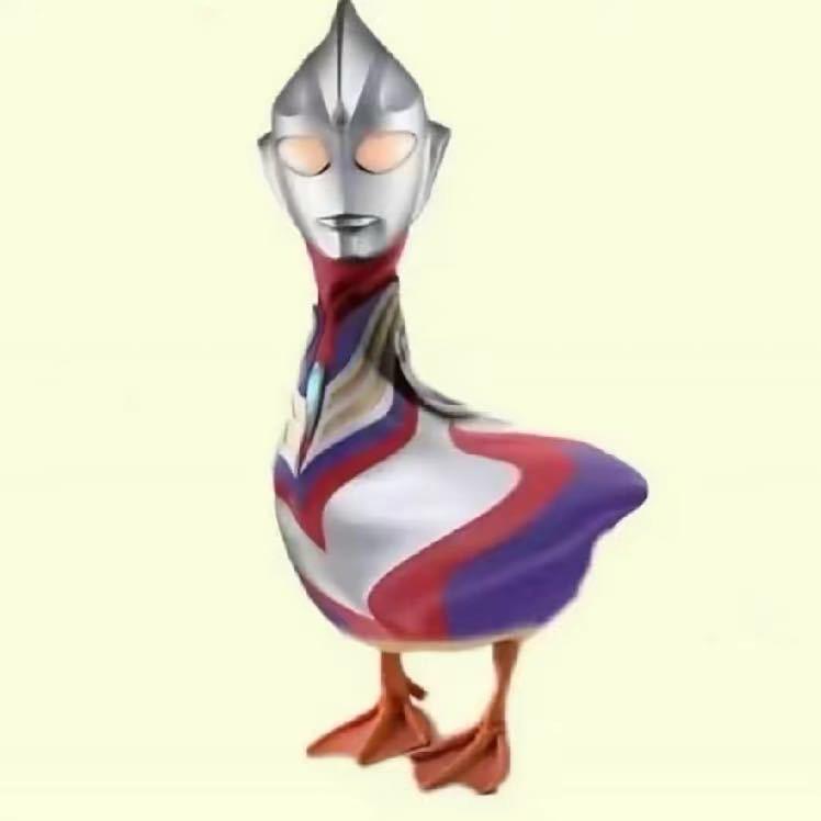 張疯子