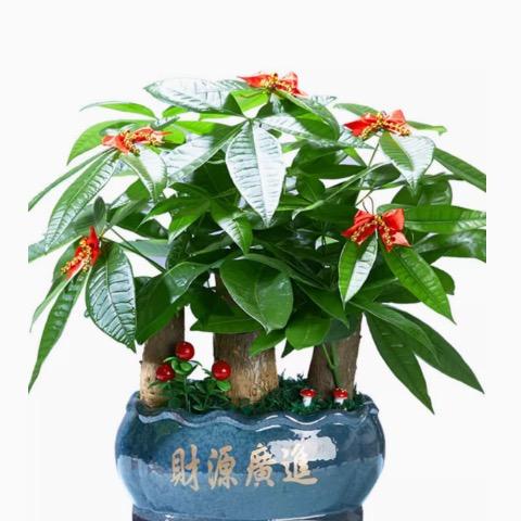 鞋运