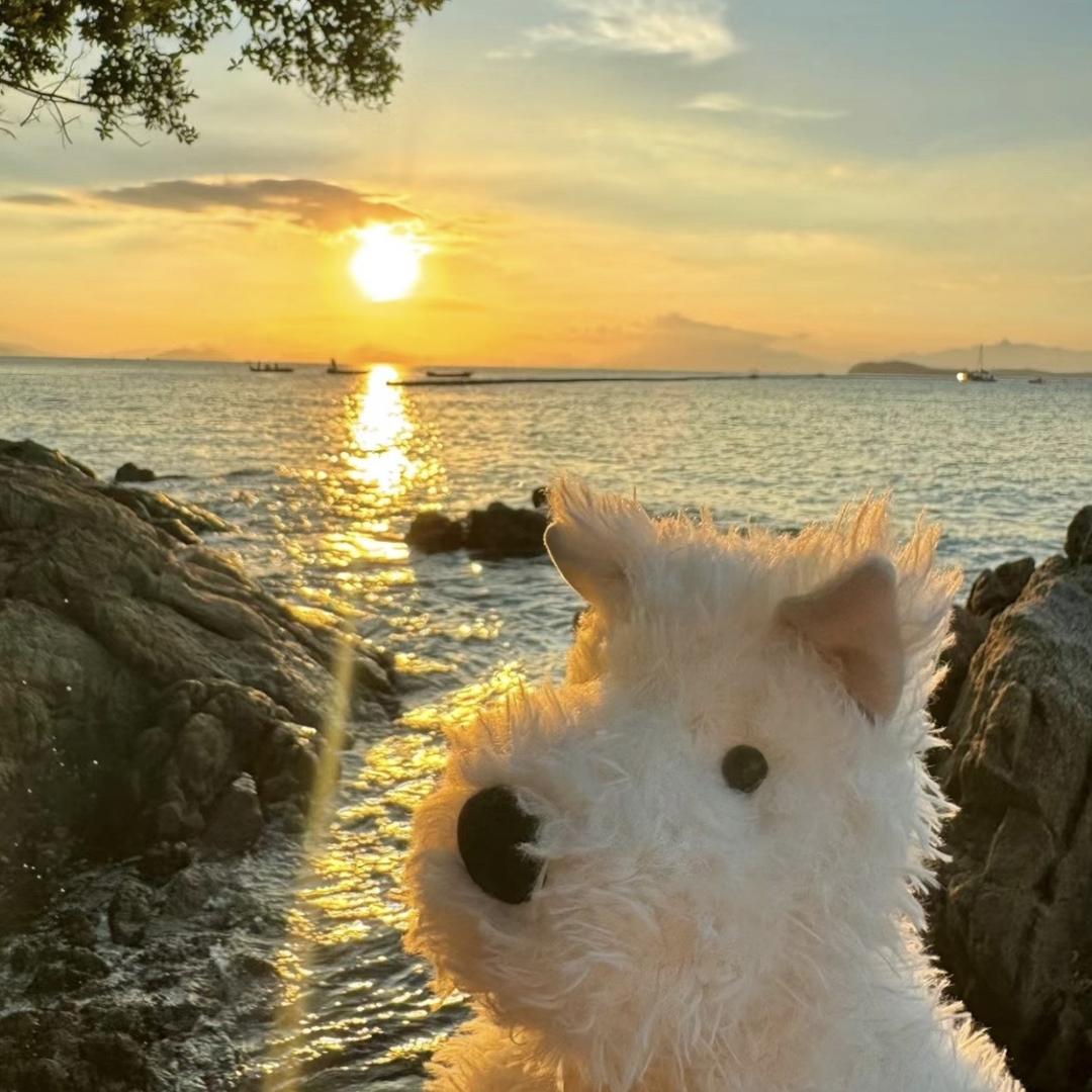 ㅤㅤㅤㅤㅤ ㅤㅤㅤㅤㅤ