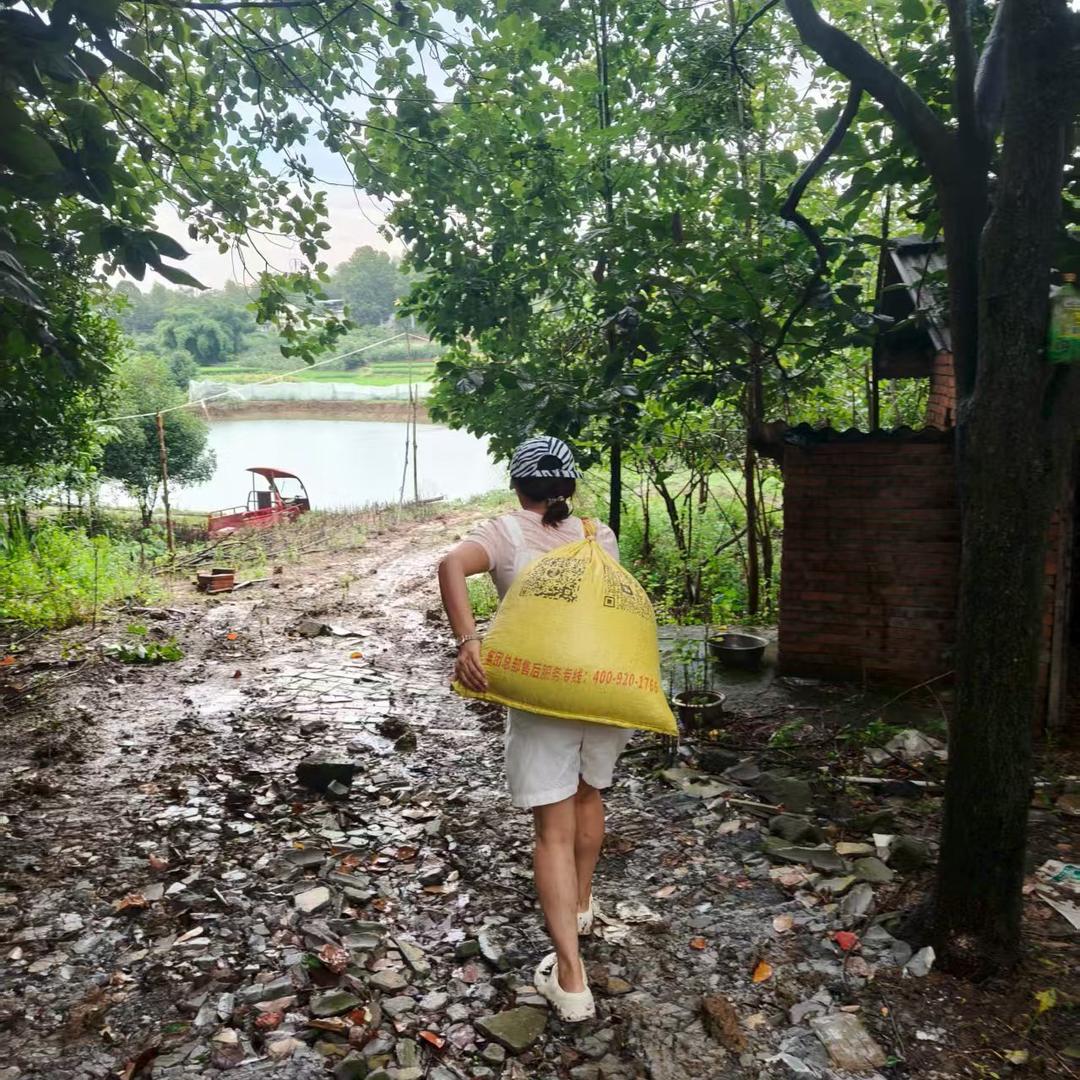 “半工半农菇凉”洪帮主