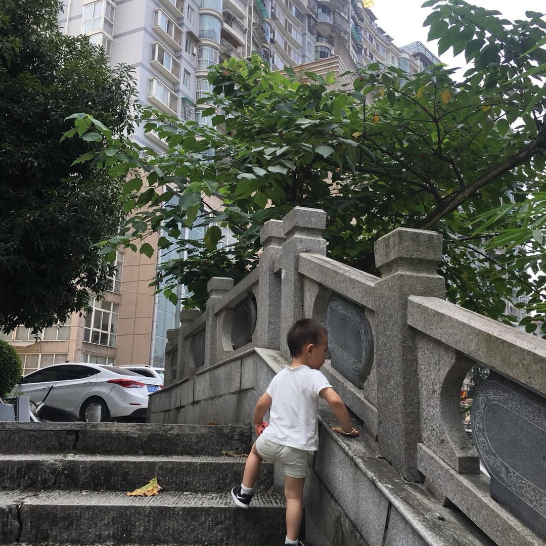 我姓杨我心痒