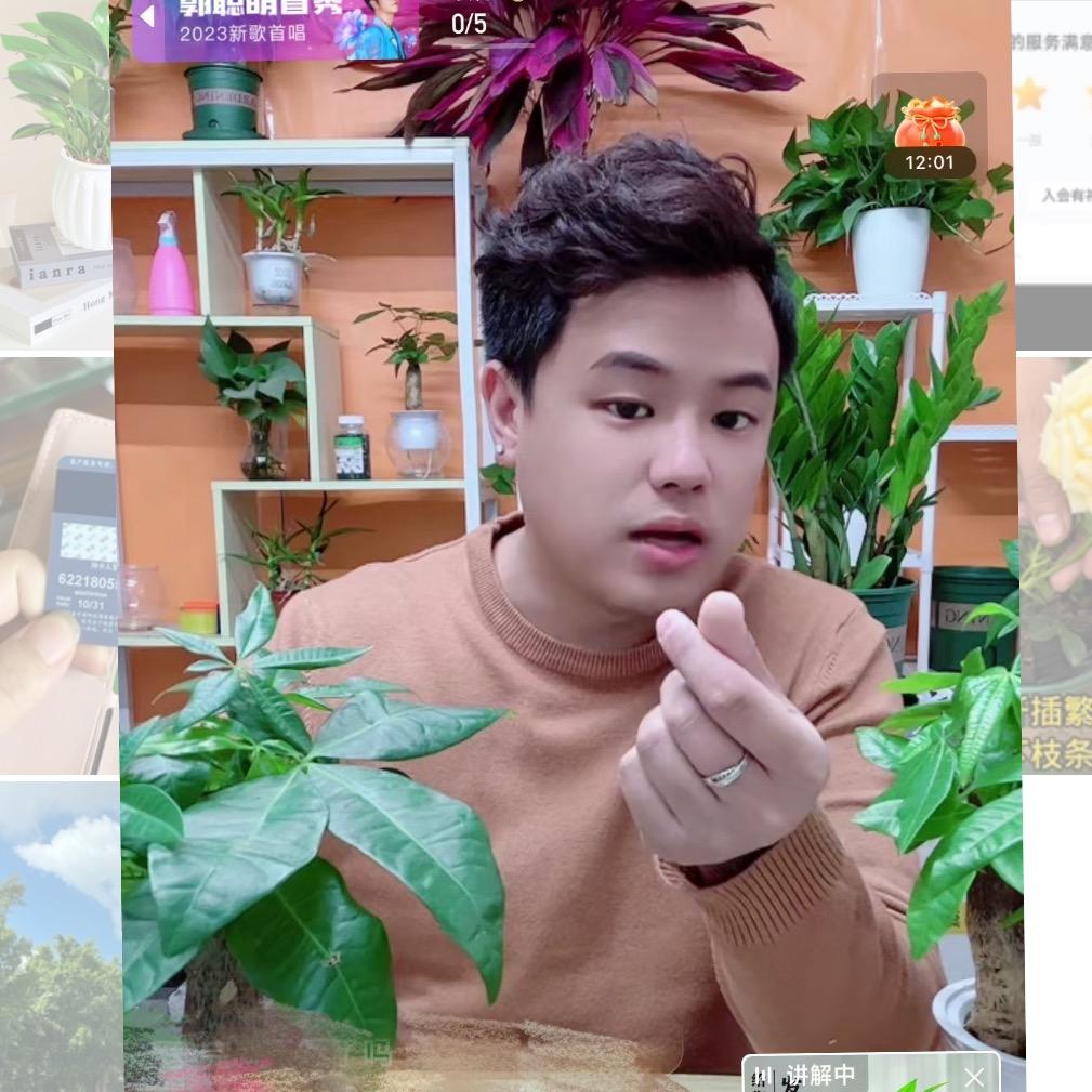 志金绿植供应链